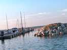 Evening paddling in the harbour