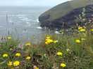 Coastal path photo