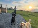 Arnie and otto