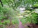 The walk to town