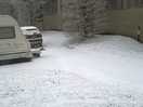 Snowy morning