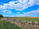 Hadrian's wall from outside the campsite. very close.