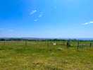 Views from site