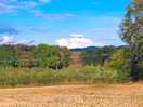Local walk