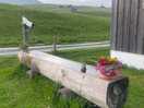 Pretty site features