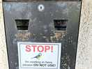 Birds nesting