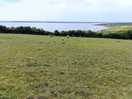 A field on the walk from east fleet farm to the lugger inn