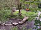 Looking down on the stream
