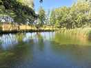 Lake 2