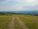 Big fields