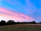 Beautiful sunset over the trees and field.