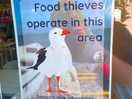 Brilliant sign