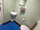 Secure clean shower unit