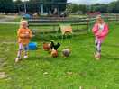 A family of hens, ducks, swans, geese, beautiful peacocks! delicious natural ice cream.