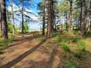 Walk