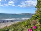 View of the beach 5 mins walk away.
