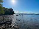 5 minute walk from the park