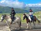 Horse treking and beach ride