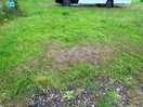Where we had our awning pitched - no drainage at all became a bog that we just walked into the van!