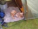 First and last time campers lol