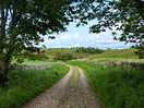 Lovely walk
