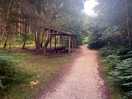 Fantastic woodland walks. so many to choose from.