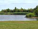 View over fields to lakean