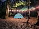 Even wild camps can have twinkle lights