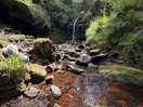 Waterfall in kielder forest