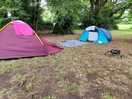 We had too two tents for our pitch and parked by the entrance nearby