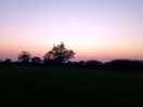 Taken in the field next to the paddock.