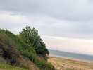 Cliff area