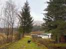 View from back of cabin