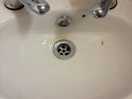 Needs cleaning lessons!