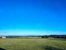 View from top end of site, early evening on friday in late june.