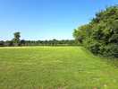 Manicured grounds