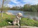 River walks