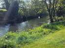 Stream