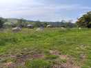 Glamping pods