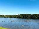Salhouse broad for launching nearby