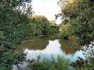 Small fishing lake