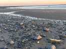 Best wee camp site