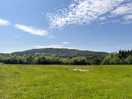 Views wonderful
