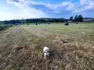 Camping field