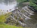 Little waterfall
