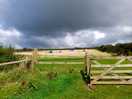 Site