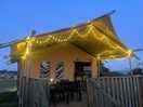 Safari tent