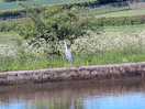 Canal walk by knowle locks