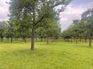 Beautiful walks