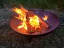 Rented a firepit